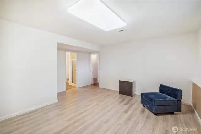 downstairs family room