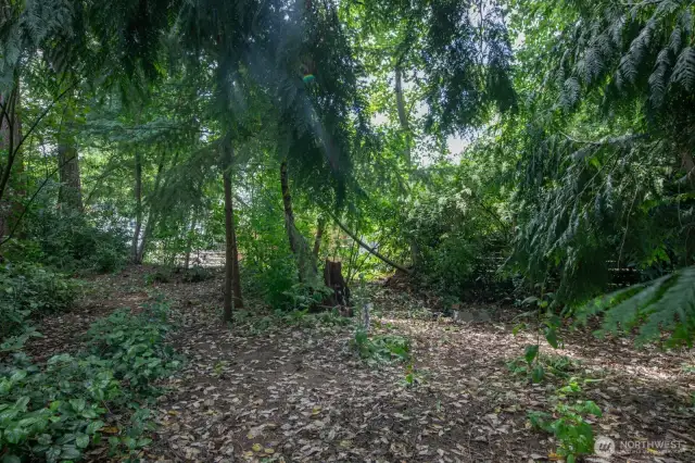 Level and spacious lot.