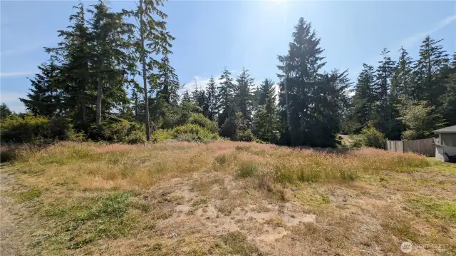 Set among the evergreens, this versatile lot in Sunset Sands is perfect for RV living, weekend camping, or planning your future home. With water already connected and RV-ready electrical hookups offering 20, 30, and 50 amp service, it’s ready for immediate use. Enjoy privacy, easy access, and the perks of a quiet HOA community—where possibilities grow beneath the coastal sky.