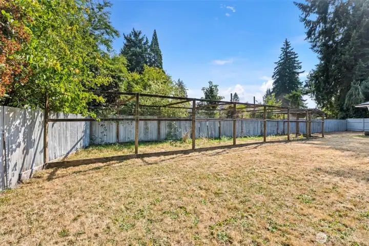 large back yard