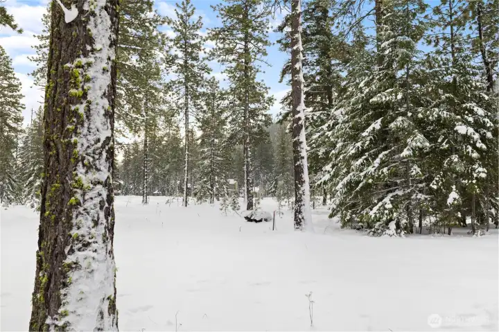 Level and private 1/2 acre homesite