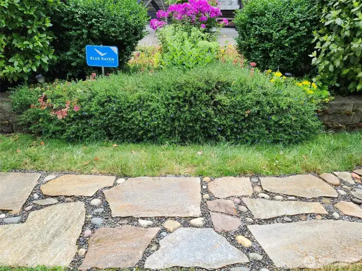 Path during spring/summer