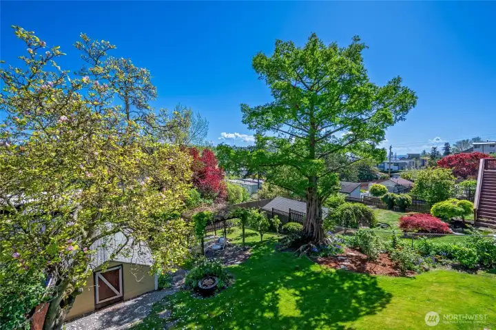 Mature gardens