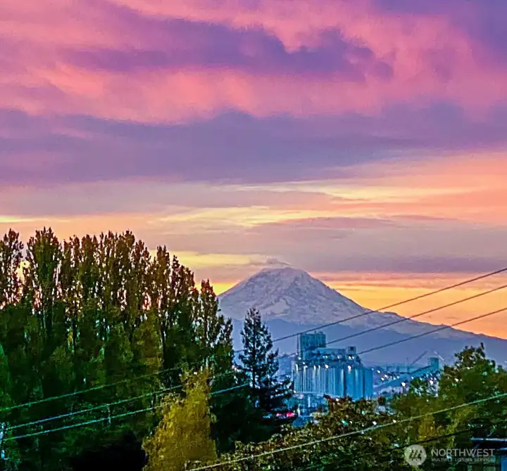 Mt. Rainier views