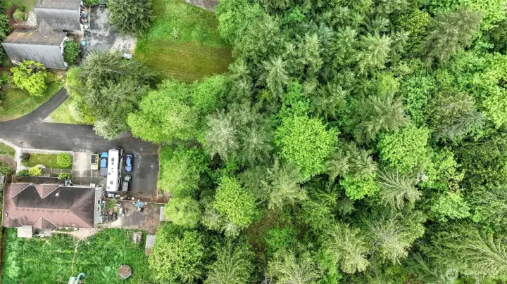Approximately a 125x150 square foot buildable footprint.