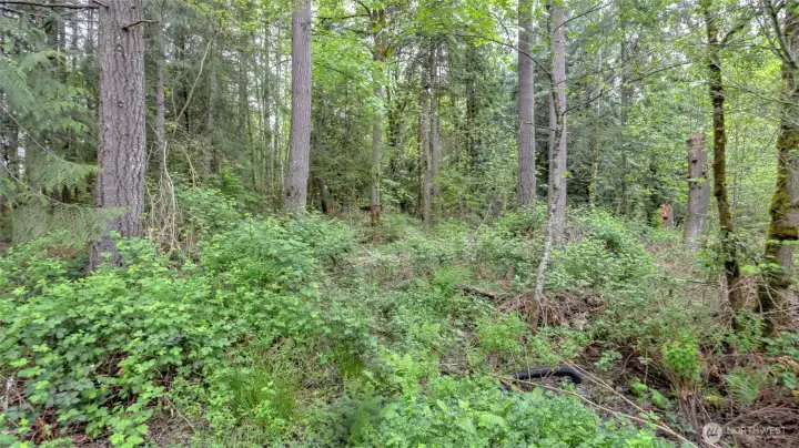A rare opportunity to build near Lake Morton with both privacy and convenience.