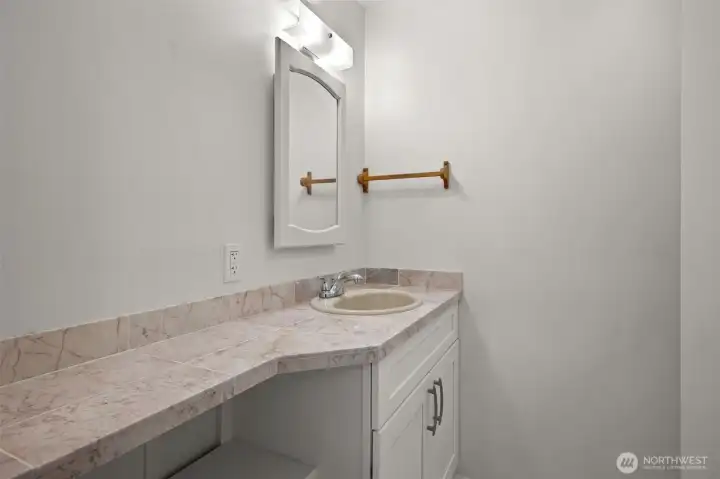Lower Level Primary Bathroom