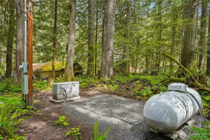 18kW Generator and Propane tank
