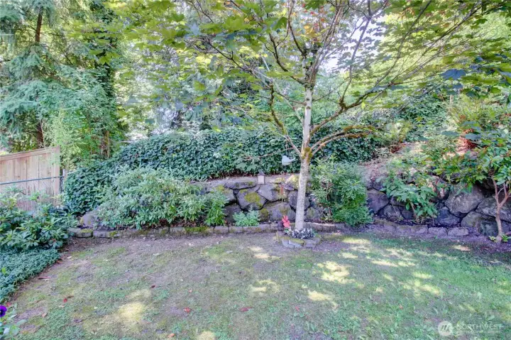 Beautiful mature landscaping