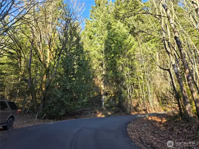 park where my vehicle is and walk in .