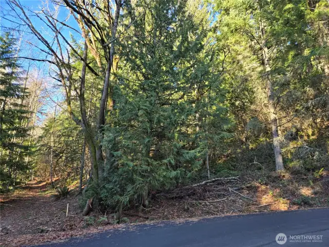 This is the south west corner of the property