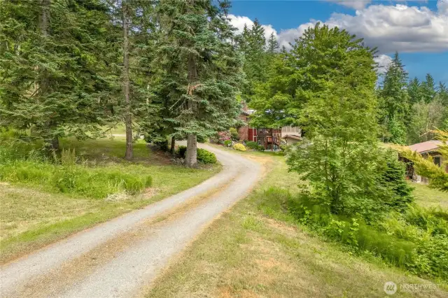 Winding driveway leads to the house and you can hear the creek bubbling near the entrance to the property.