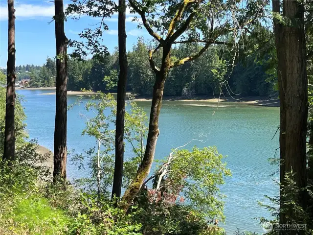 Homes in the distance are at Kamilche Point. Then around the corner to the left is view Mt. Rainer.
