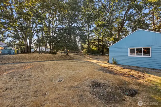 BACK YARD
