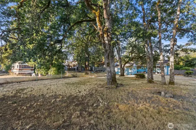 BACK YARD WITH BIG OAK TREES