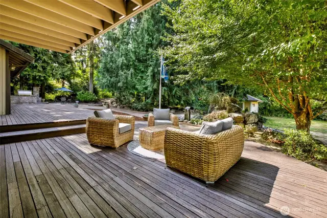 Deck to BBQ, Counter and Sink