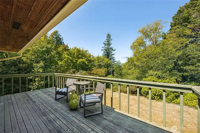 West facing view off the deck. Pee-a-boo view in winter months
