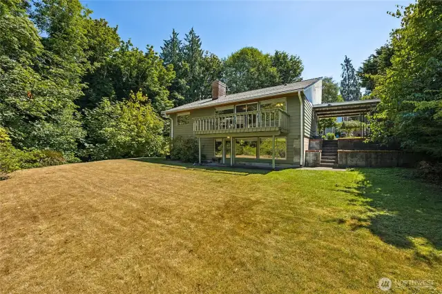 Back yard