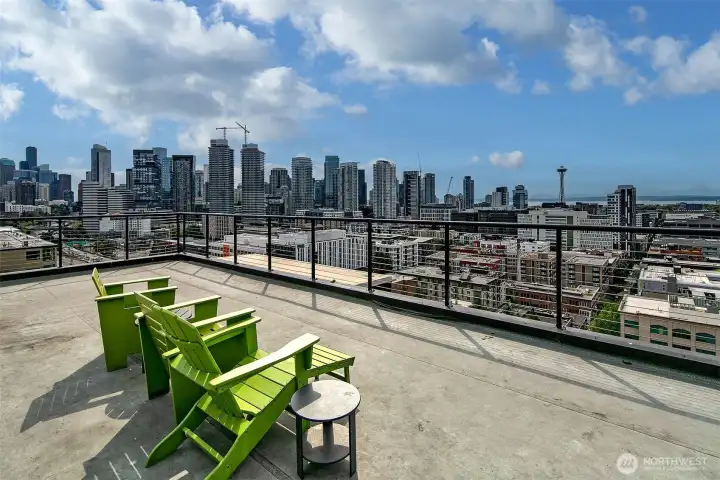 City, water and mountain views from the roof top!