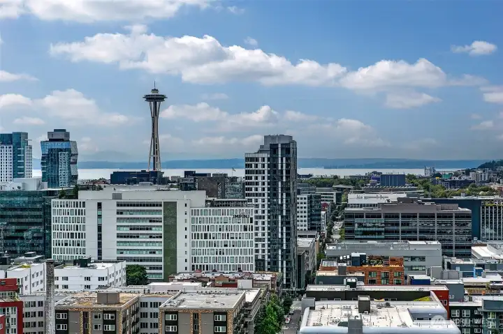 City, water and mountain views from the roof top!