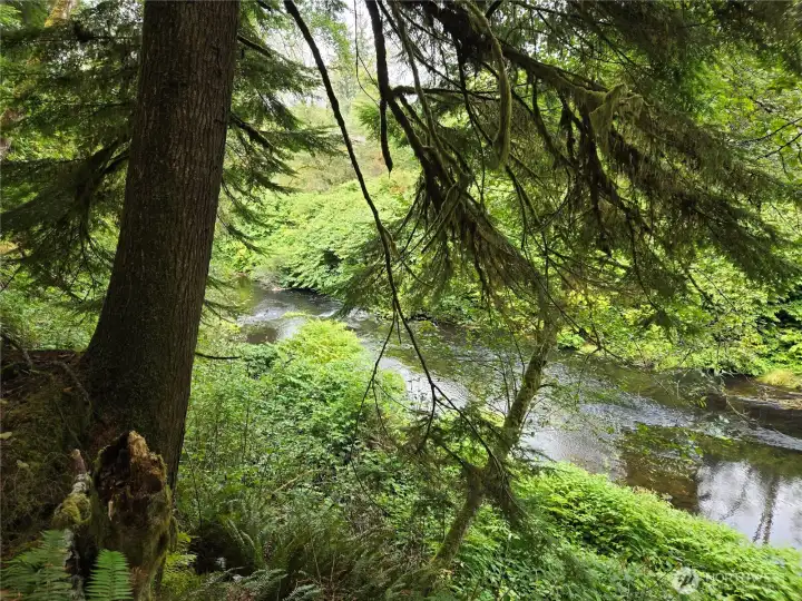 North River