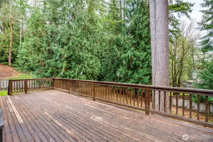 A beautiful, spacious deck overlooking the private backyard. Perfect for outdoor dining and entertaining.