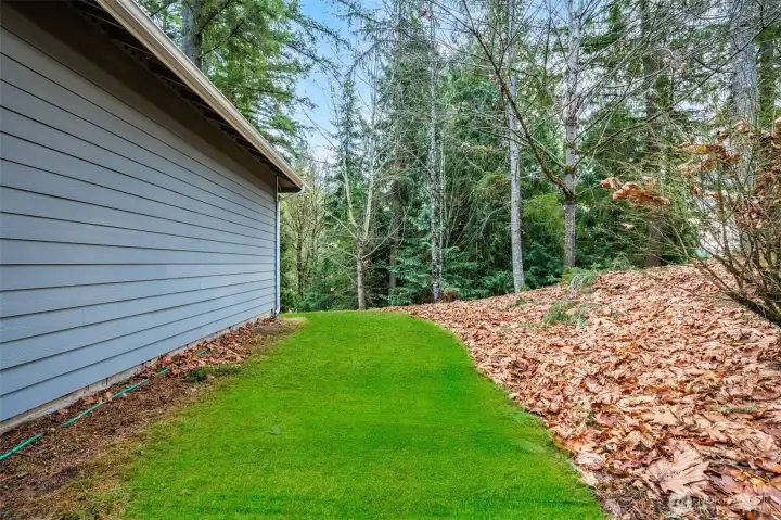 The expansive side yard offers ample room for recreation or potential garden space.