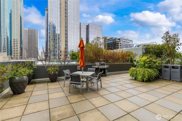 BBQ for community use