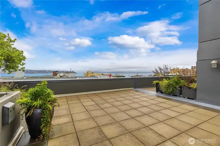 Shared patio for you and your guests.