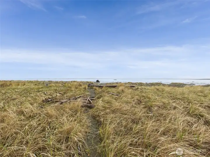 Your Own Path to the beach!