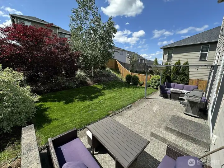 The summer view of your new back yard!