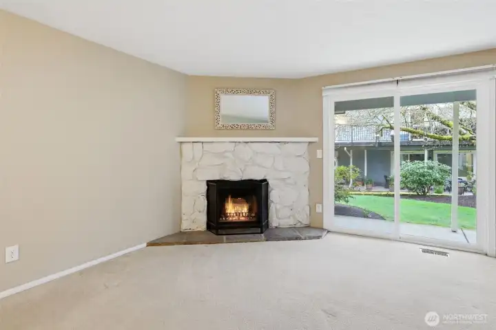 Wood burning fireplace