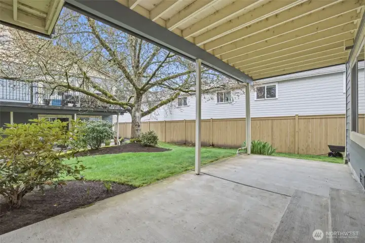 dappled sunlight flickers through the big trees creating a peaceful surround.