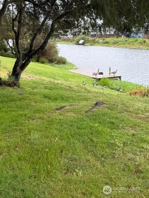 Your own dock for fishing & boating!