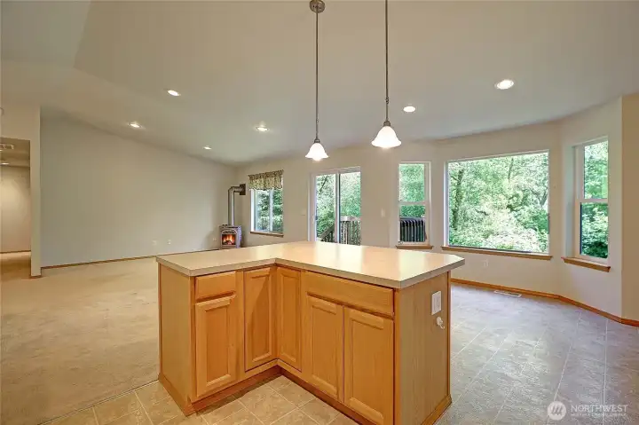 Central Island Looking Over Great Room Into Backyard~