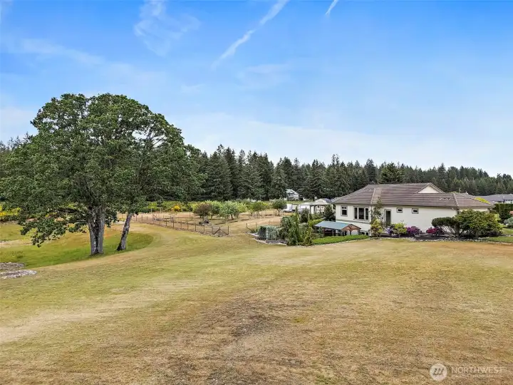 A Stately Oak Tree, 28 Station Sprinkler System Designed to Cover the Front Yard, Courtyard, and Fruit Tree Orchard!