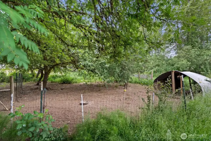 Chicken pen