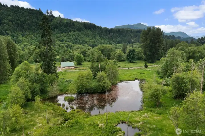 Pond