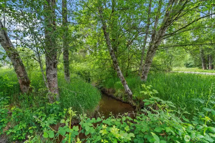 Lunch Creek