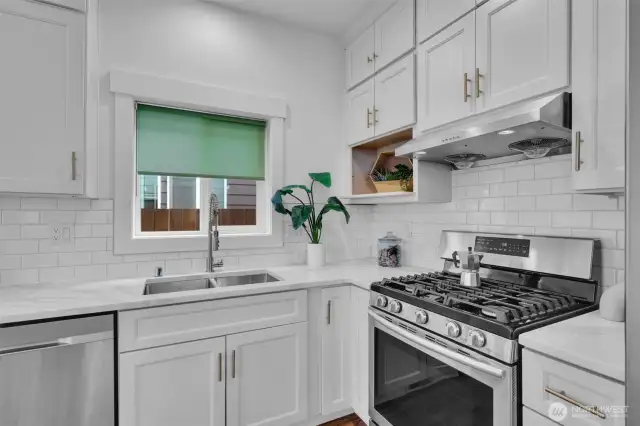 stainless double sink
