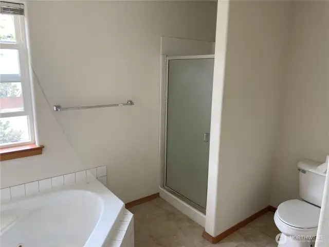 Primary bath-2