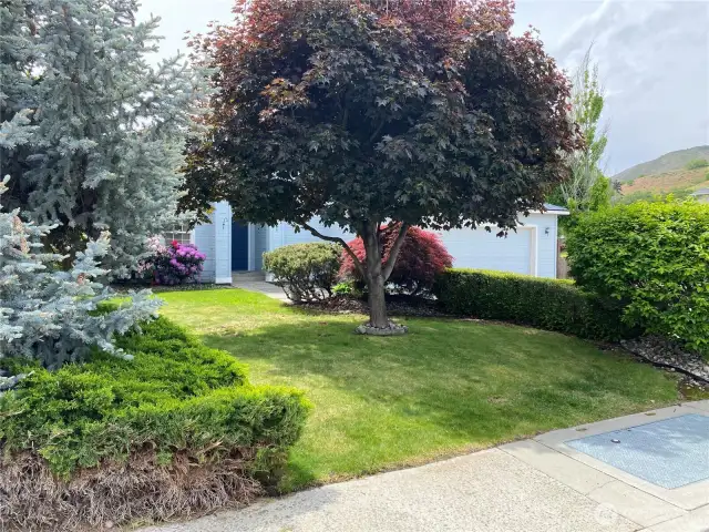 Mature landscaping