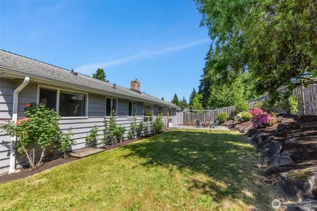 Another look at the back yard, looking from the South to the North.