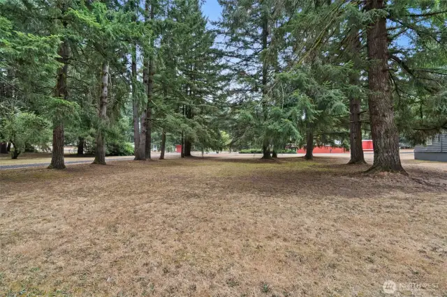 Side yard
