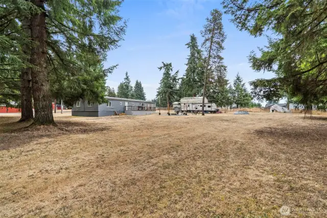 Side and back yards