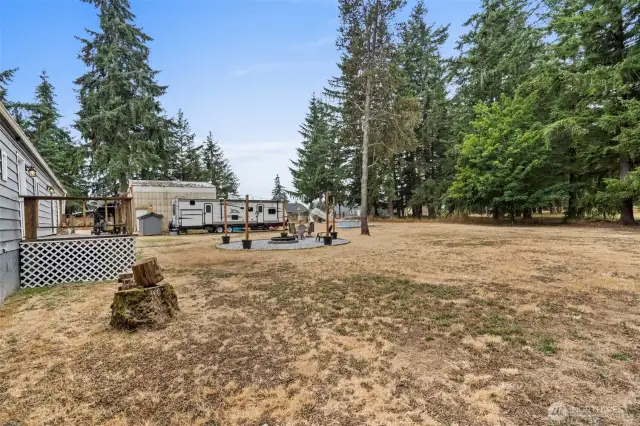 Back yard