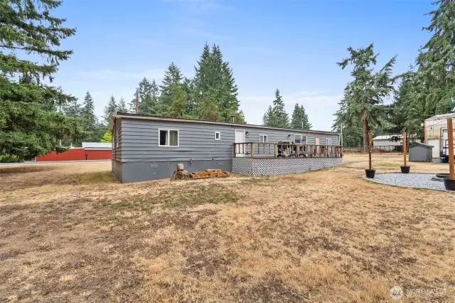 Back yard