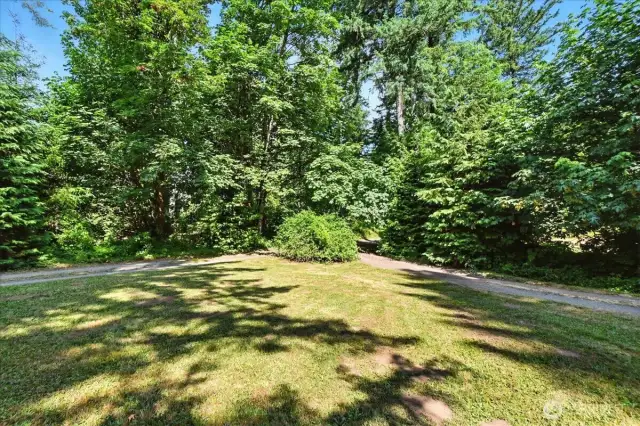 Front yard/Driveway