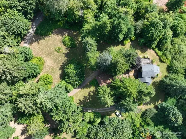 Ariel View