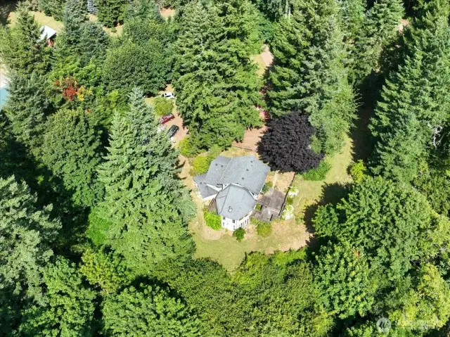 Ariel View